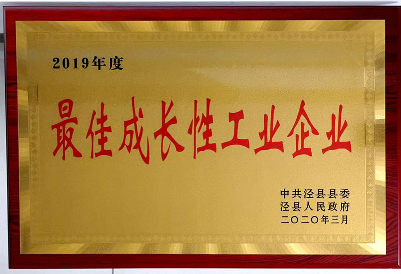 蕞佳成長性工業企業